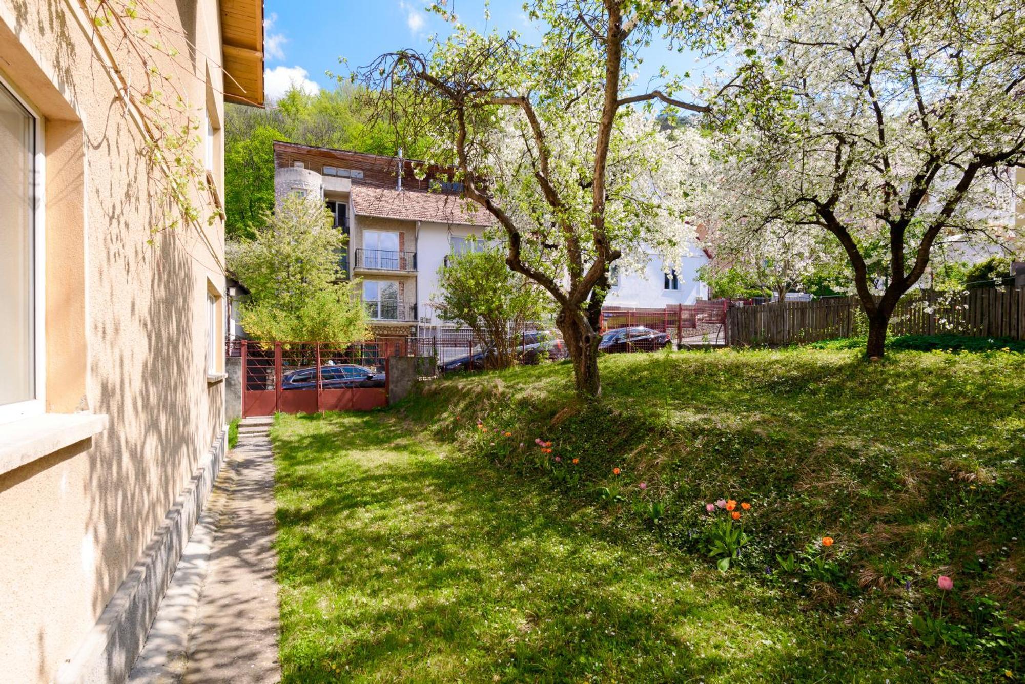 Апартаменты Casa Cu Cires Брашов Экстерьер фото