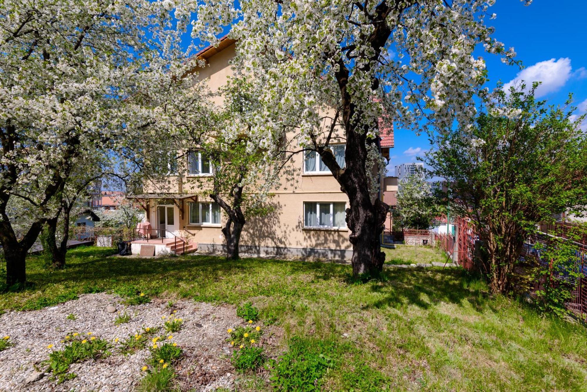 Апартаменты Casa Cu Cires Брашов Экстерьер фото